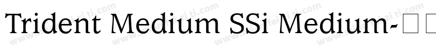 Trident Medium SSi Medium字体转换